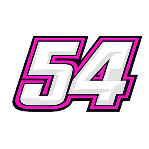 Team 54 Number Graphic